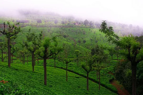 Munnar